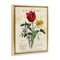 Stupell Industries Antique Anatomy of Plants Floating Frame By Susan Arnot